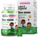 Wild & Organic Irish Sea Moss Gummies for Kids 800mg - Immunstøtte med Bladderwrack - Vegansk Sea Moss Gel Chews for generell støtte - 60 Ikke-GMO Seamoss Gel Gummies