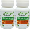 Shilajit Forte Kapsler 500 mg. 60 Veg. Kapsel | Shilajit (Asphaltum) ekstraktkapsler for menn og kvinner | Ayurvedic Herbal Supplement/Remedier | 10:1 Forte (2 flasker med 60 Kapsler)