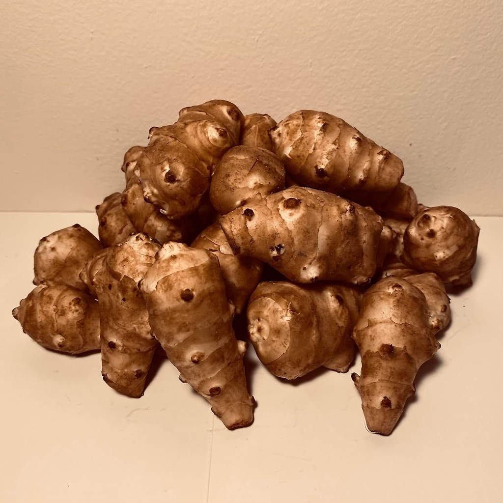 Sunchokes - 5 pounds (5 lbs) for planting eller spise FEDEX 2Day