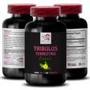 Stamina Power - TRIBULUS TERRESTRIS EXTRACTS - Energi for aktivitet, energistøtteformel, aktiv energistøtte, plantebasert energiforsterkning, aktivitetskraft, aktiv trening Boost 1 flaske 60 tabletter