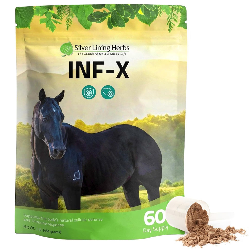 Sølv lining urter Equine INF-X - støtter hest stress relief og sunne nivåer av gode bakterier - naturlig støtte for equine immunsystem - urtetilskudd for equine avgiftsbegrensning - 1 lb