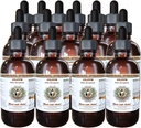HawaiiPharm Olive (Olea europaea) Økologisk tørket blad Veterinær naturlig alkoholfri flytende ekstrakt, Pet Herbal Supplement 15x4 oz