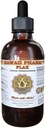 Flax flytende ekstrakt, organisk Flax (Linum usitatissimum) Tinktur Supplement 4 oz