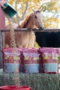 Mega Dos 40 lb, Equine Vitamin Mineral med en full servering av hestevakt Supplement & Hoof Guard