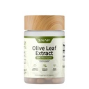 Snap Supplements Olive Leaf Extract Capsules - Super styrke 40% Oleuropein for blodstrøm støtte, forbedre digestion, antioksidant Boost Supplement, forbedre hjernefunksjon (60 kapsler)