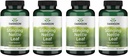 Swanson Sting Nettle Leaf (Urtica Dioica) - Herbal Supplement som fremmer urinveistrakter og pustende helsestøtte - kan støtte sunn flytende balanse - (120 kapsler) (4 pakke)