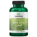 Swanson Full-Spectrum Uva Ursi Leaf - Herbal Supplement Støtter Nyre & Urin Tract Health - Kan støtte Cardiovaskulære System Funksjon & Blader Helse - (100 Kapsler, 450 mg Hver)