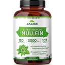 Zazzee ekstra styrke Mullein 10:1 Ekstrakt, 3000 mg styrke, 120 veganske kapsler, 4 måneders forsyning, standardisert 10X ekstrakt, 100% ren blad pulver, all-naturlig og ikke-GMO, laget i USA
