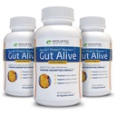 Gut Alive - All naturlig støtte til å bekjempe IBS, Heartburn, syreødeleggelse, syre Reflux, bloating og gass. Unik formulering (60 Count (Pack of 3))