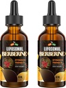 Berberin Supplement med Ceylon Cinnamon 3000mg - høy biotilgjengelighet Liposomal Berberin flytende dråper, Berberine HCL Complex Plus Turmeric Supplements, AMPK aktivator, egnet for kvinner,Men-120ml