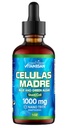 Celulas Madres Stem Cell Support, Plantebasert, Adaptogen Blend,Cordyceps, Rhodiola Rosea, Afa, Astragalus, B Complex, Reishi, Ganoderma, Blå-grønn Algae, Spirulina, 1000mg naturlig 13 Nøkkelingredienser.