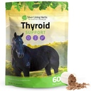 Sølv lining urter Thyroid støtte for hester – Herbal hest Supplement for normal Thyroid funksjon, hormonbalanse og sunn metabolisme med irske Moss, Kelp, Parsley – 120-dagers forsyning