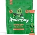 Waterboy Workout Hydration ® 2.960 mg Sugar Free Electrolyte pulver pakker ® L-Glutamin + Vitaminer ® Ingen sukker, Alle naturlige, Glutenfri ® 15 Drikke Stick Blander (Fruit Punch)