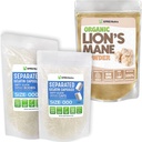 XPRS Nutra Separert størrelse 000 kapsler (1000 greve) med Lions Mane pulver (16 Ounce)