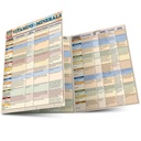 Vitaminer og mineraler: en rask studie laminert referanseguide (Quick Study Health)