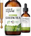 Wild & Organic Green Tea Ekstrakt flytende dråper - Antioksidant Supplement - Naturlig Grønn Te Supplementer v / Camelia Sinensis - Vegan, Sukker & alkoholfri Tinktur - 2 fl oz