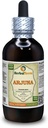 Arjuna (Terminalia Arjuna) Tinktur, organisk tørket Bark væskeekstrakt (Brandnavn: HerbalTerra, stolt laget i USA) 4 floz (120 ml)