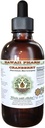 Cranberry alkohol-fri flytende ekstrakt, tranebær (Vacinium Macrocarpon) tørket Berry Glycerite Hawaii Pharm naturlig urte supplement 2 oz