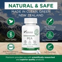 Palmitoyletanolamide Pea Supplement 600 mg - Mikronisert Erte Supplement 99% - 2 måneders forsyning - Avansert naturlig støtte for felles komfort