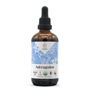 Astragalus USDA økologisk alkohol-fri ekstraksjon | Diett Supplement, høy potens Tinktur | Naturlig sertifisert organisk Astragalus (Astragalus membranaceus) Tørket rot (4 oz)