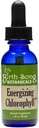 Birth Song Botanicals Energising Klorofyll Tinktur, Super konsentrert flytende klorofyll dråper, Herbal energi støtte supplement og intern deodorizer, Mint Flavor 1oz flaske