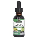 Naturens svar alkoholfri Alfalfa urtekstrakt, 1-fløyte ounce støtter immunsystem, blod, digestion, energinivå - Hjelper med avgiftning