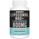 Liposomal NAD+ 800 mg med trans-Resveratrol 300 mg, max absorpsjon, faktisk NAD+ Økning Supplement for sunn aldring, Cellular Energy, DNA Repair, Longevity - 60 Softgels