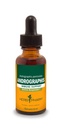 Herb Pharm Andrographis Liquid Extract for immunsystemstøtte, 1 Fl Oz (pakke med 1) (DANDRO01)