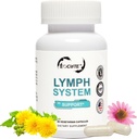 Lymph System Support Supplement - lymfatisk dressing Supplement med Echinacea purourea Extract, Dandelion Extract 60 Count