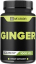 1000mg Ginger Supplements Kapsler med Berberine HCl, Eldrebær, Echinacea og mer - 11in1 Støtte Digestion, Felles Helse, Immunsystem og hjertehelse - 210 Ginger Pills