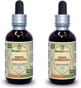 White Quebracho (Aspidosperma Quebracho-Blanco) Tinktur, tørket Bark pulver flytende ekstrakt (merkenavn: HerbalTerra, stolt laget i USA) 2x2 fl.oz (2x60 ml)