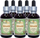 Psyllium (Plantago Ovata) Glyceritt, organisk tørket Husk alkoholfri flytende ekstrakt (merkenavn: HerbalTerra, stolt laget i USA) 5x2 fl.oz (5x60 ml)
