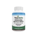 Ekte urter Stinging Nettle Root Extract 7500mg (750mg 10:1 Ekstrakt) – Vegetarvennlig, ikke-GMO, Glutenfri – Støtter prostata og urinhelse – 100 kapsler