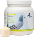 Generisk PHP Amino Build 500g - Muskelbyggende Aminosyrer Pigeon Helse & ytelse