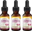 Lovita Echinacea ekstrakt flytende | 1 FL OZ | 350 mg per servering | Konsentrert urt tinktur | Vegansk | alkoholfri | med eldrebær og lakrisekstrakt (pakke av 3)