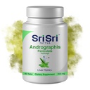 Andrographis Paniculata kosttilskudd – 60 tabletter Plante Basert Herbals Respiratorisk velvære – Immunstyrke Restorative Andrographis Tabletter – 500 Mg Økologisk Grønn Chiretta Herb