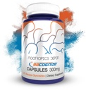 Nootropics Depot BaCognize Bacopa Monnieri 300mg Kapsler (120 greve) Ayurvedic Herb Non-GMO, Glutenfri, og vegetarvennlig