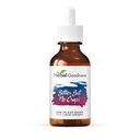 Herbal Goodness Bitter Men Ingen Crap flytende Supplement for kroppsrense, energi støtte og helse Boost | Non-GMO Burdock Root Organic, Bitter Melon, Maca Root, Dandelion Root - 2 fl. per flaske oz