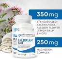 Vitaminer 33+ Baldrian® Plus naturlig avslappende støtte Standardisert Valerian ekstrakt (60)