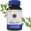 Rejuvenasjon Therapeutics høy potens Ellagic Acid Kapsler 250 mg | Forbedre immunitet og Eliminer oksidativ stress | Premium organisk & vegan | 30 kapsler 250 mg