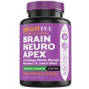 Nootropisk Brain Supplement for fokus, energi, minne og klarhet Booster | Fast absorpsjon Brain Vitaminer for voksne - Nootropics piller med Ginkgo Biloba, St Johns Wort, Bacopa Monnieri