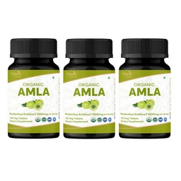 Amla 120 Tabletter – USDA Økologisk Indisk Gooseberry – rik på vitamin C & støttes Immun Helse* - Pakke med 3