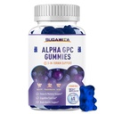 Alpha GPC Choline Gummies 600 mg med fosfatidyderin & Bacopa – 3-i-1 hjernestøtte for minne, fokus og langsiktig kognitiv helse – sukkerfri, naturlig formel, 60 teller