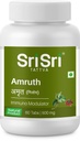 Sri Sri produkter Ayurveda Amrut immunmodulator tablett 500Mg PacificOF 2