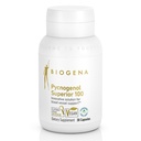 Biogena Pycnogenol 100 mg Gull med premium Patentert Fransk Maritime Pine Bark ekstrakt (Pinus Pinaster) for å støtte blodsirkulasjon