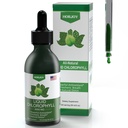 Klorofyll flytende dråper - 100% naturlig energiforsterkning og immunstøtte - intern deodorant og detox - Høyde sykhet relief - rask absorpsjon, vegan & ikke-GMO - 120 serveringer (Pack of 1)