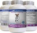 Hunde dårlig pusteprodukter - PROBIOTics for hunder - sunn gut - stopp gass diarrea og dårlig puste - Digestiv boost - Hundeprobiotika tyggedyktig venn - 1 flaske (60 behandlinger)