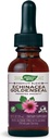 Nature's Way Premium Formula Echinacea-Goldensel, 250 mg per porsjon, 99,9% alkoholfri, 1,01 Oz.