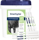 SmartEquine SmartLyttes Hest Electrolyte pulver Supplement & SmartLyttes Lim hest Electrolyte Paste 6 Rør Bundle, oppfordrer Hydration, Replenishes Electrolytes, Ingen lagt sukker
