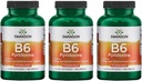 Swanson B6 Pyridoxin - vitamin Supplement fremme kardiovaskulær helse og energimetabolisme - Naturlig formel fremme total velvære - (250 kapsler, 100 mg hver) 3 pakke